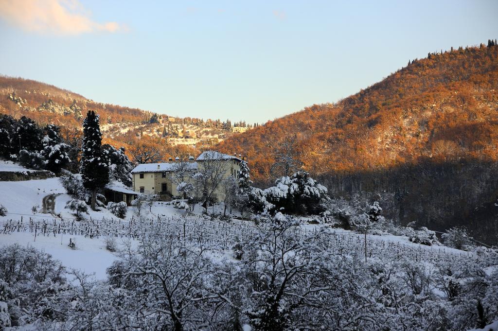 Tenuta Dei Cavalieri Molino del Piano Eksteriør billede